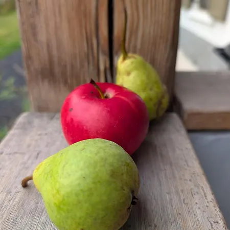 Appartamento A Bejárat