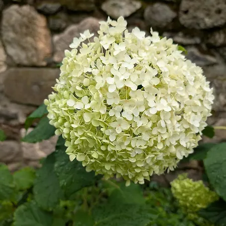 A Bejarat Vendeghaz アパート