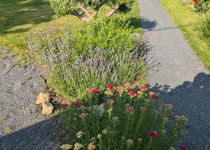 A Bejarat Vendeghaz *