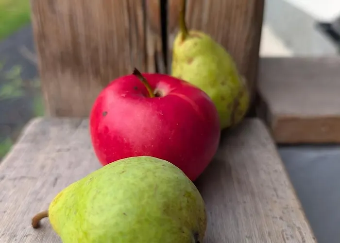 شقة A Bejarat Vendeghaz